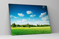 Obraz Domovina zs1110